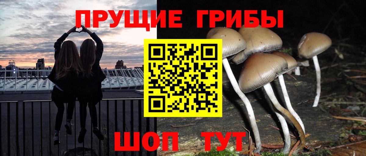 Галлюциногенные грибы мухоморы Выборг